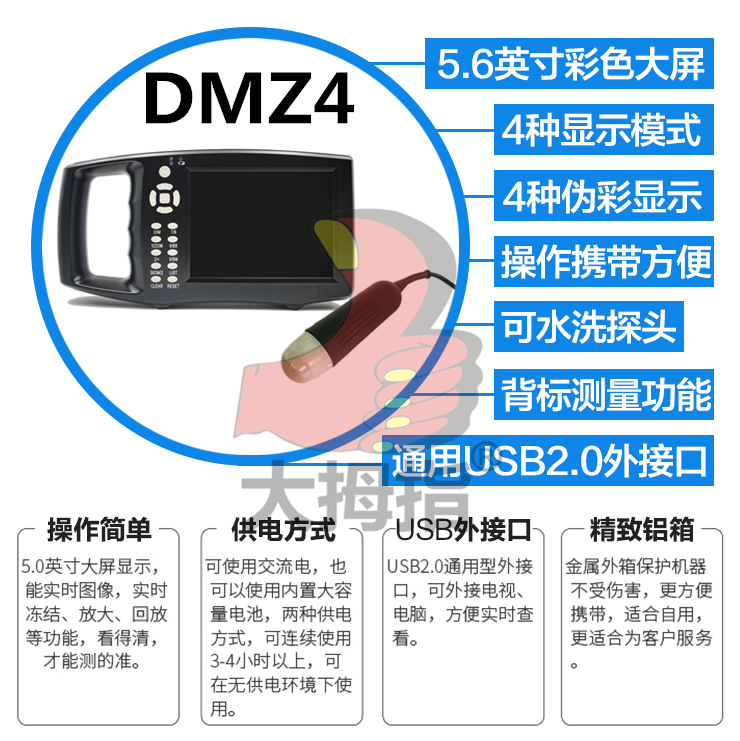 DMZ4